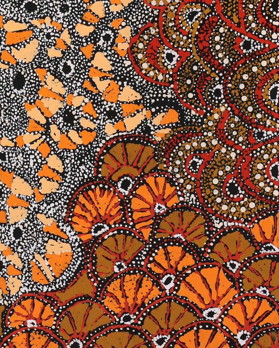 Aboriginal Artwork by Hilda Nakamarra Rogers, Lukarrara Jukurrpa, 107x30cm