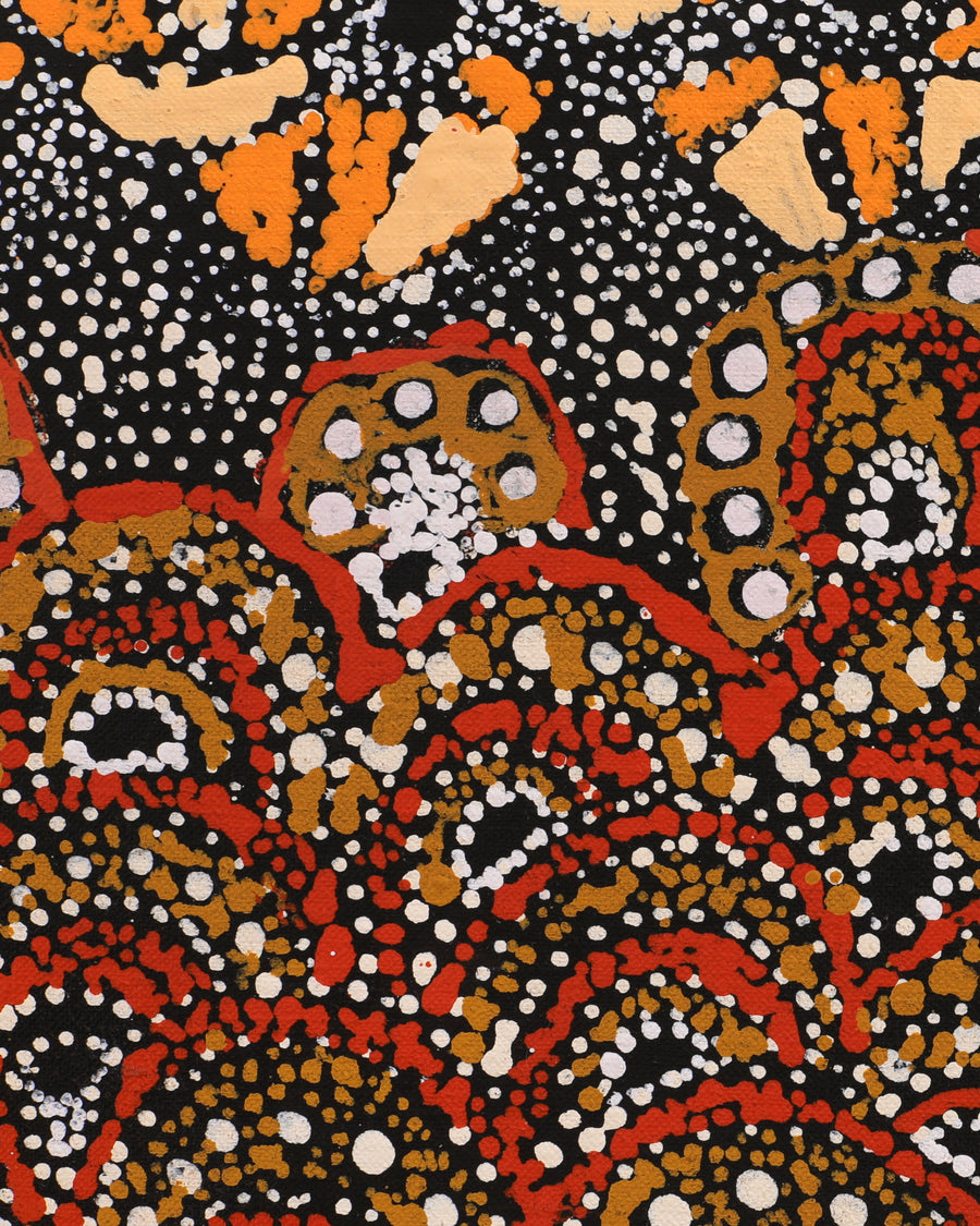 Aboriginal Artwork by Hilda Nakamarra Rogers, Lukarrara Jukurrpa, 107x30cm