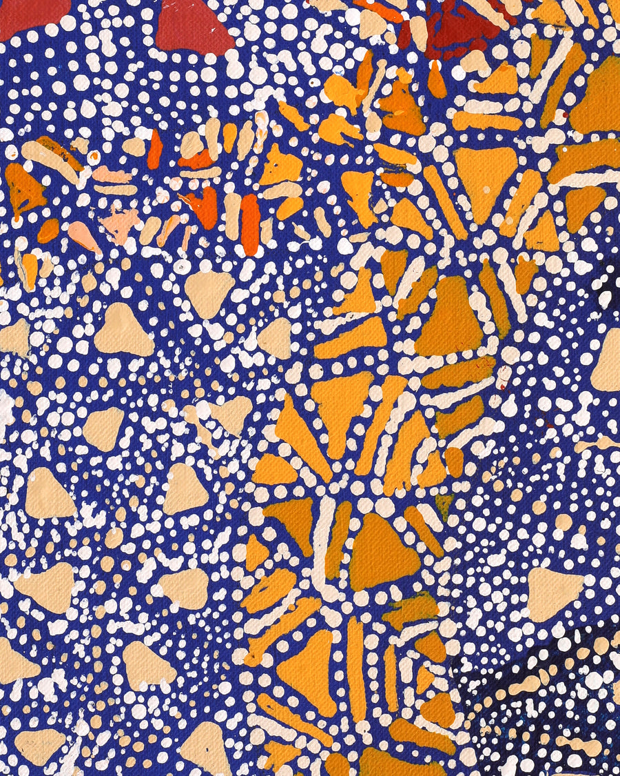 Aboriginal Artwork by Hilda Nakamarra Rogers, Lukarrara Jukurrpa, 107x30cm
