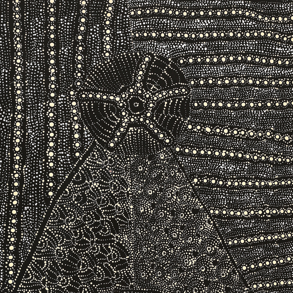 Aboriginal Artwork by Hilda Nakamarra Rogers, Lukarrara Jukurrpa (Desert Fringe-rush Seed Dreaming), 107x46cm