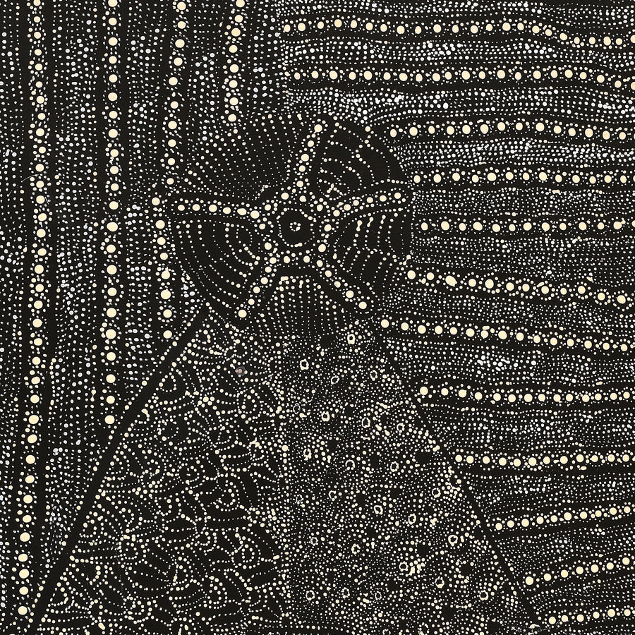 Aboriginal Artwork by Hilda Nakamarra Rogers, Lukarrara Jukurrpa (Desert Fringe-rush Seed Dreaming), 107x46cm