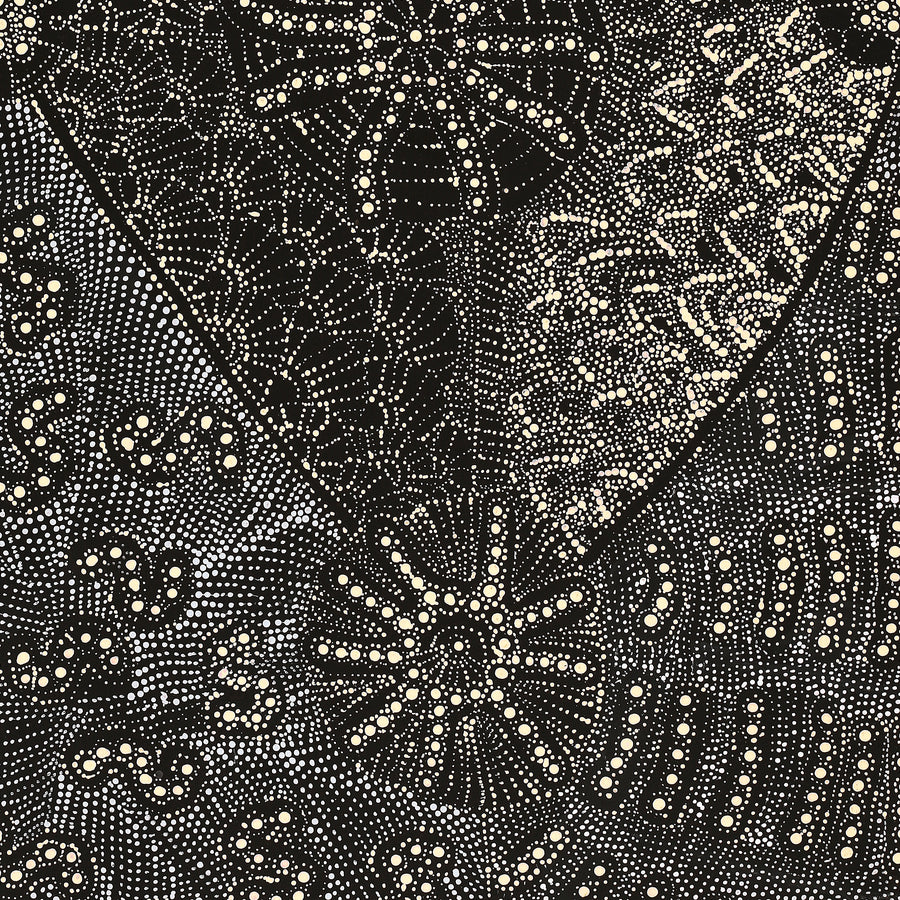 Aboriginal Artwork by Hilda Nakamarra Rogers, Lukarrara Jukurrpa (Desert Fringe-rush Seed Dreaming), 107x46cm