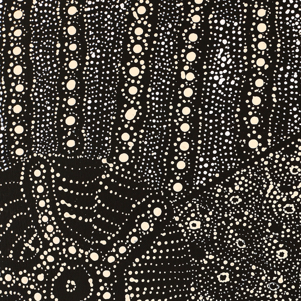 Aboriginal Artwork by Hilda Nakamarra Rogers, Lukarrara Jukurrpa (Desert Fringe-rush Seed Dreaming), 107x46cm