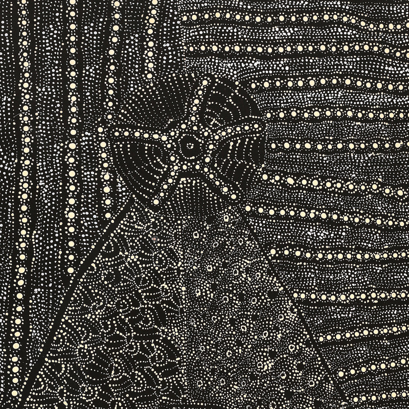 Painting 61x46cm Jocelyn Napanangka Frank Lukarrara Jukurrpa (Desert Fringe-rush Seed Dreaming) - Warlukurlangu main image 1