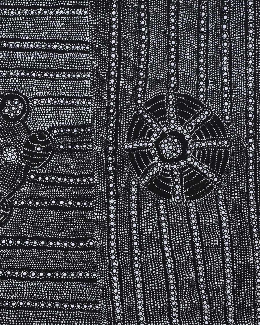 Aboriginal Artwork by Hilda Nakamarra Rogers, Lukarrara Jukurrpa, 122x61cm