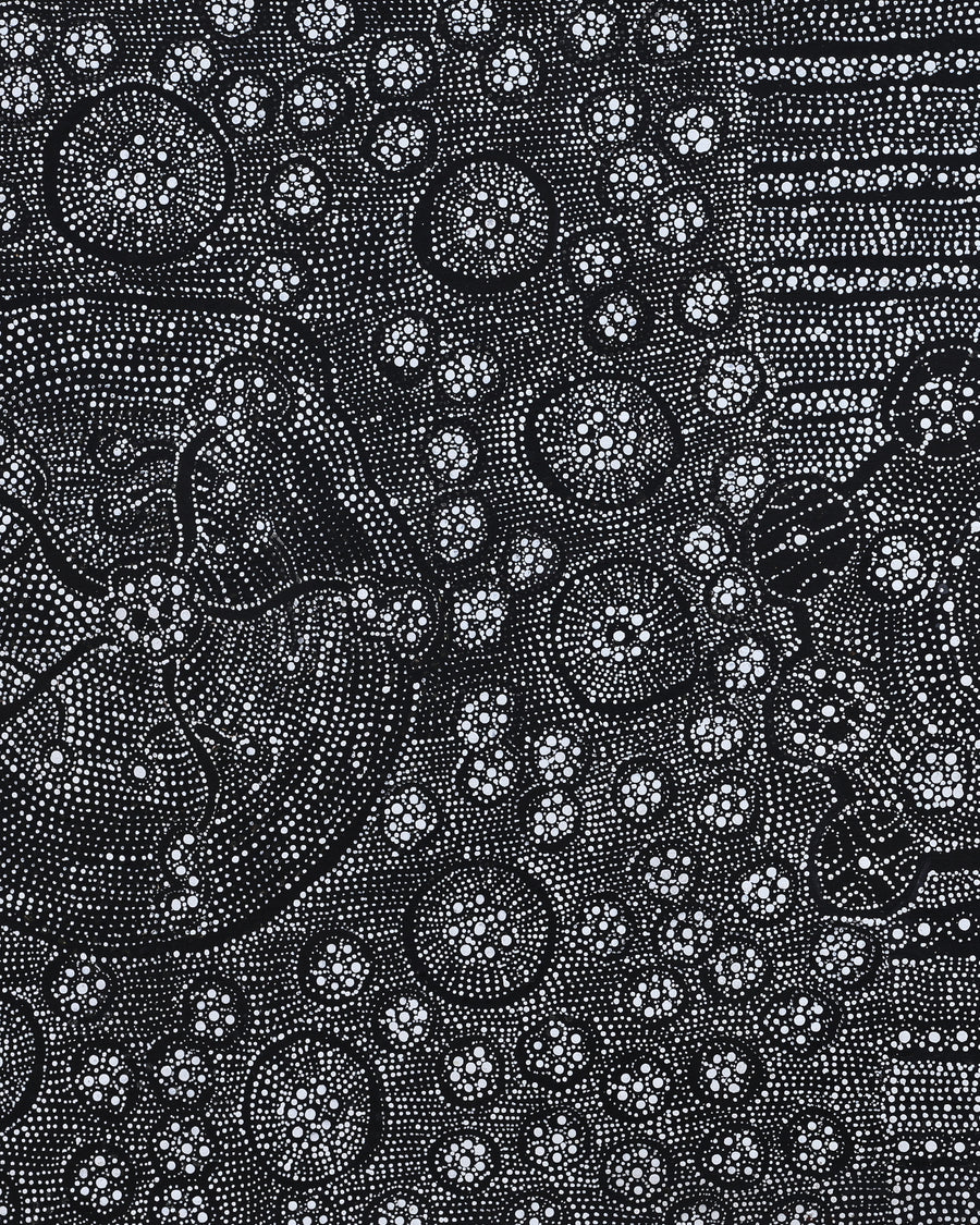 Aboriginal Artwork by Hilda Nakamarra Rogers, Lukarrara Jukurrpa, 122x61cm