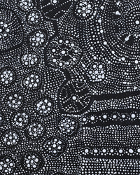 Aboriginal Artwork by Hilda Nakamarra Rogers, Lukarrara Jukurrpa, 122x61cm