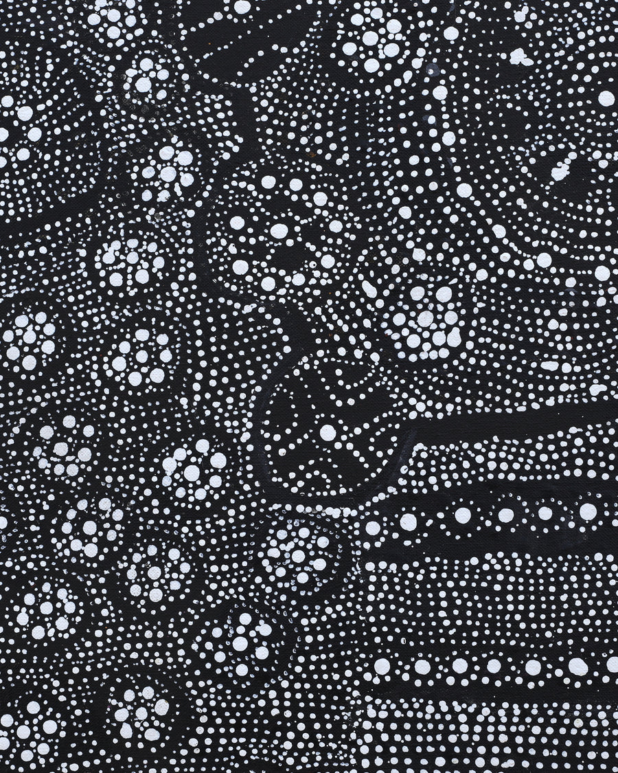 Aboriginal Artwork by Hilda Nakamarra Rogers, Lukarrara Jukurrpa, 122x61cm