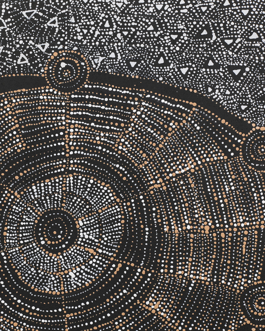 Aboriginal Artwork by Hilda Nakamarra Rogers, Lukarrara Jukurrpa, 122x76cm