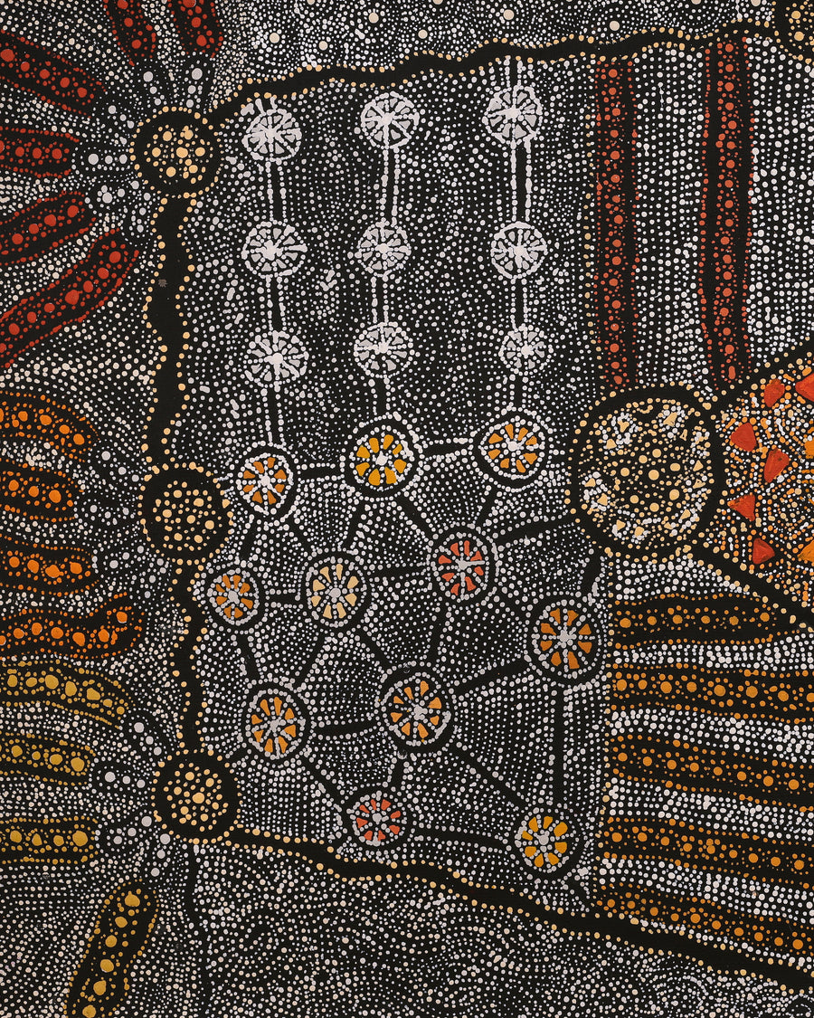 Aboriginal Artwork by Hilda Nakamarra Rogers, Lukarrara Jukurrpa, 107x61cm