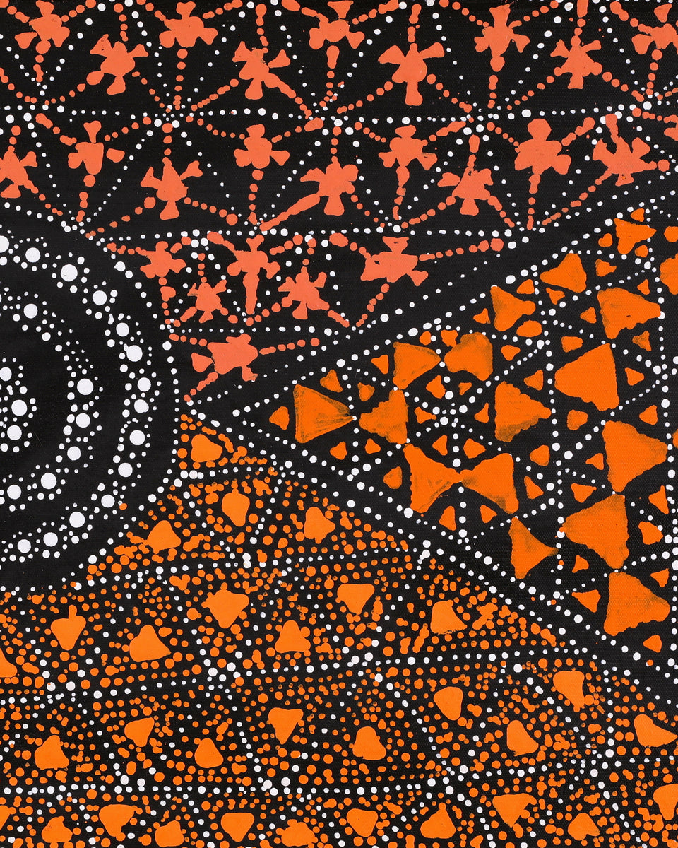 Aboriginal Artwork by Hilda Nakamarra Rogers, Lukarrara Jukurrpa, 61x30cm