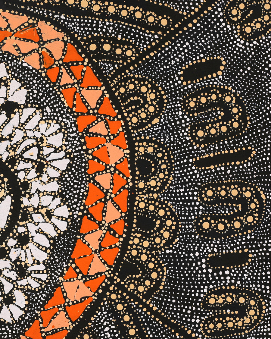Aboriginal Artwork by Hilda Nakamarra Rogers, Lukarrara Jukurrpa, 61x46cm