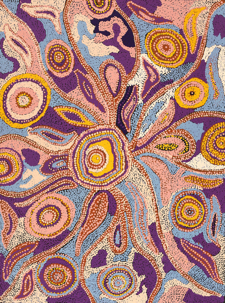 Aboriginal Artwork by Imuna Kenta, Mingkiri Tjukurpa, 80x60cm