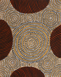 Aboriginal Artwork by Ingrid Napangardi Williams, Ngalyipi Jukurrpa (Snake Vine Dreaming) - Purturlu, 50x40cm