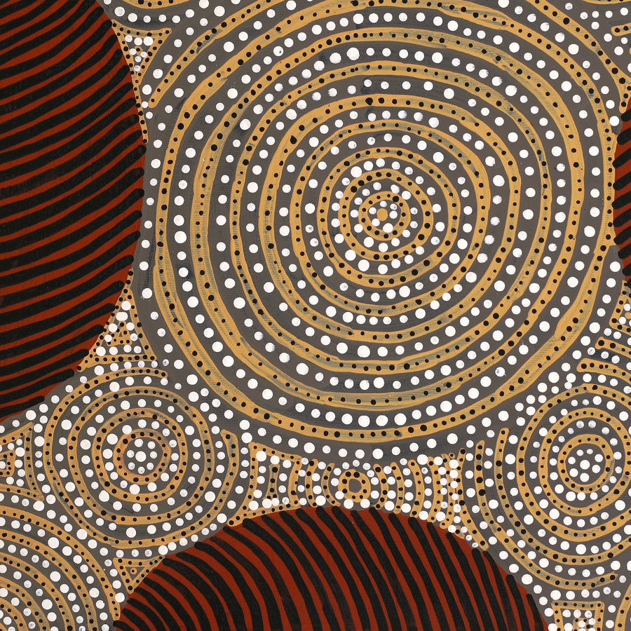 Aboriginal Artwork by Ingrid Napangardi Williams, Ngalyipi Jukurrpa (Snake Vine Dreaming) - Purturlu, 50x40cm