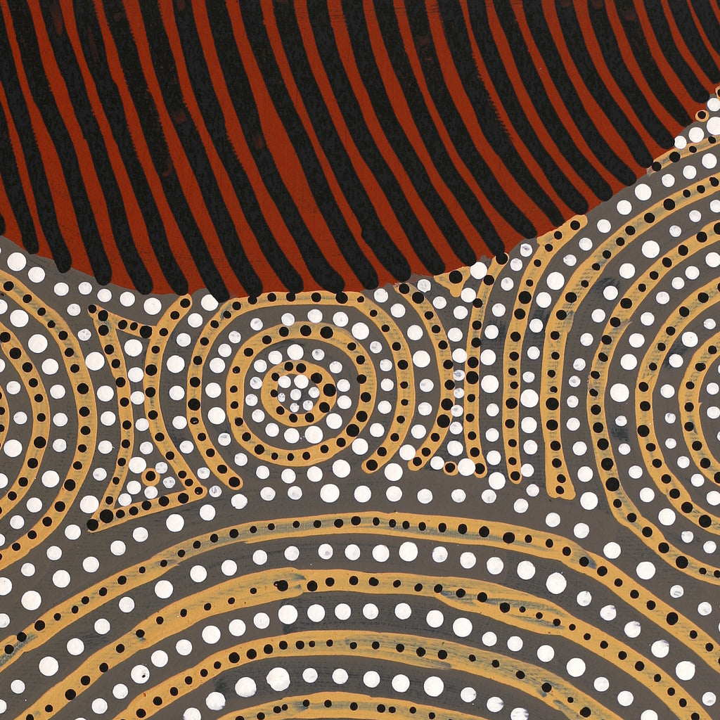 Aboriginal Artwork by Ingrid Napangardi Williams, Ngalyipi Jukurrpa (Snake Vine Dreaming) - Purturlu, 50x40cm