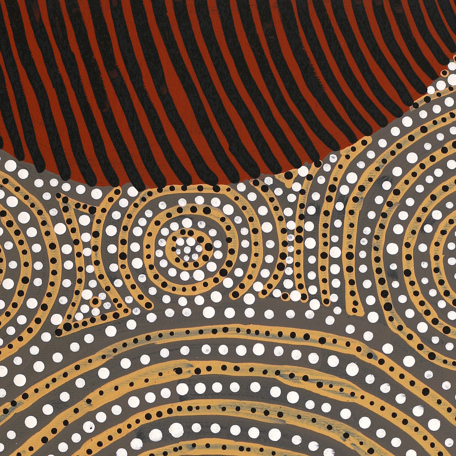 Aboriginal Artwork by Ingrid Napangardi Williams, Ngalyipi Jukurrpa (Snake Vine Dreaming) - Purturlu, 50x40cm
