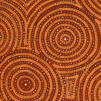 Aboriginal Artwork by Ingrid Napangardi Williams, Ngalyipi Jukurrpa (Snake Vine Dreaming) - Purturlu, 50x40cm