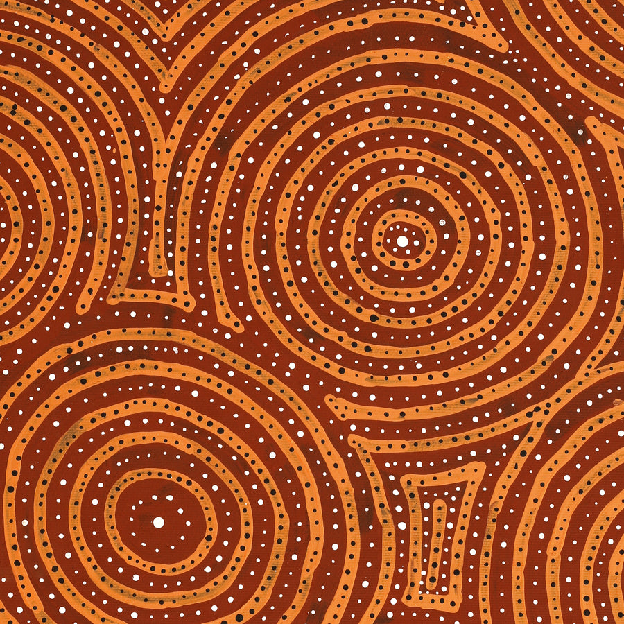 Aboriginal Artwork by Ingrid Napangardi Williams, Ngalyipi Jukurrpa (Snake Vine Dreaming) - Purturlu, 50x40cm