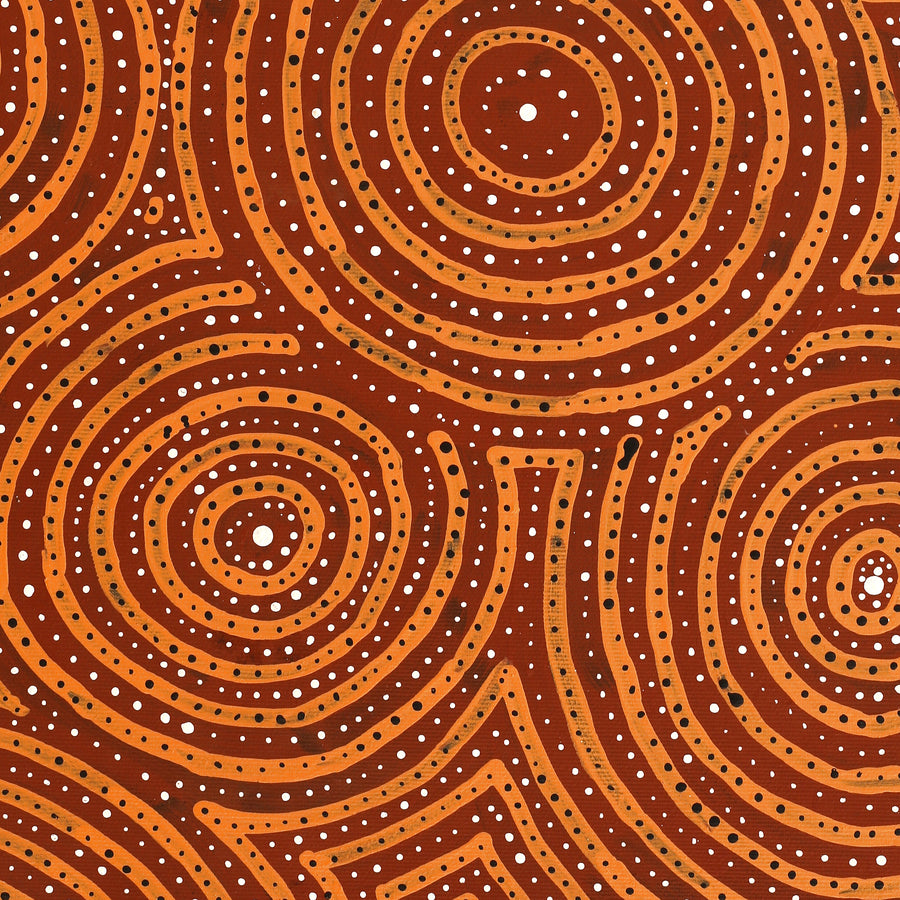 Aboriginal Artwork by Ingrid Napangardi Williams, Ngalyipi Jukurrpa (Snake Vine Dreaming) - Purturlu, 50x40cm
