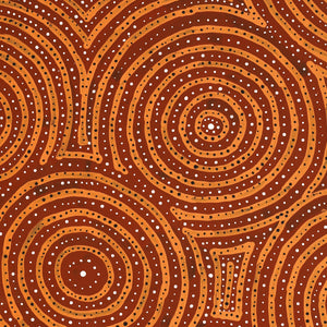 Aboriginal Artwork by Ingrid Napangardi Williams, Ngalyipi Jukurrpa (Snake Vine Dreaming) - Purturlu, 50x40cm - ART ARK®