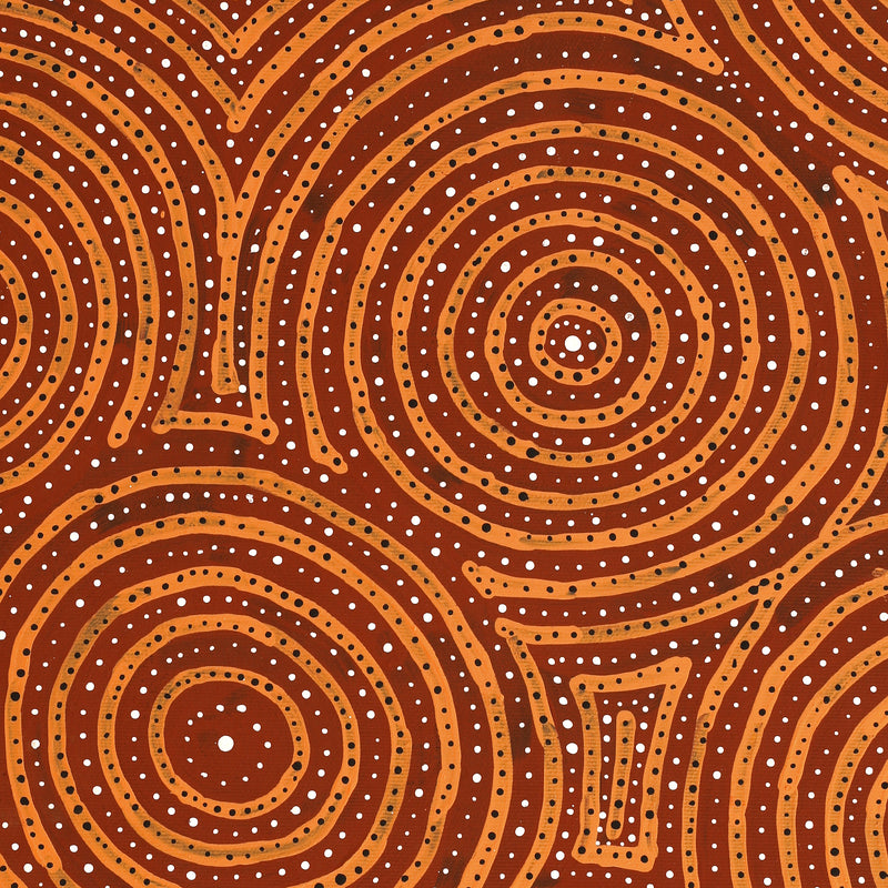 Aboriginal Artwork by Ingrid Napangardi Williams, Ngalyipi Jukurrpa (Snake Vine Dreaming) - Purturlu, 50x40cm