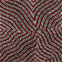 Aboriginal Artwork by Ingrid Napangardi Williams, Ngalyipi Jukurrpa (Snake Vine Dreaming) - Purturlu, 30x30cm
