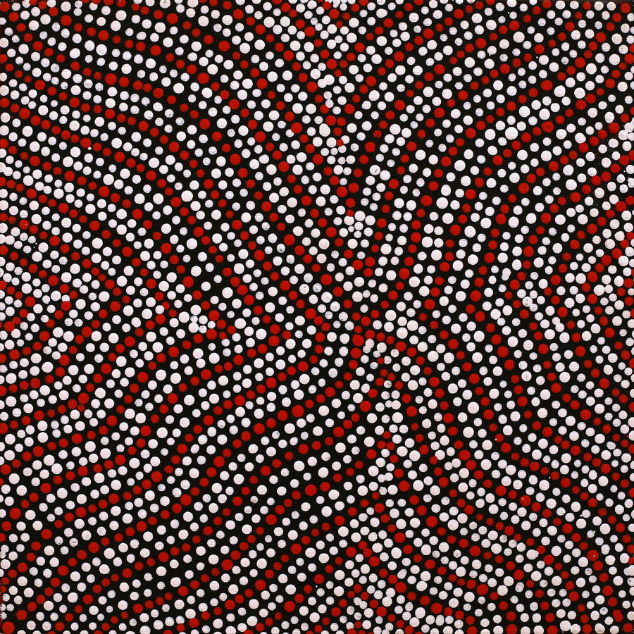 Aboriginal Artwork by Ingrid Napangardi Williams, Ngalyipi Jukurrpa (Snake Vine Dreaming) - Purturlu, 30x30cm