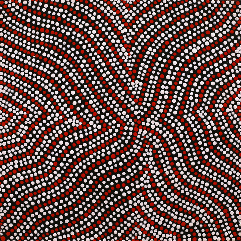 Aboriginal Artwork by Ingrid Napangardi Williams, Ngalyipi Jukurrpa (Snake Vine Dreaming) - Purturlu, 30x30cm