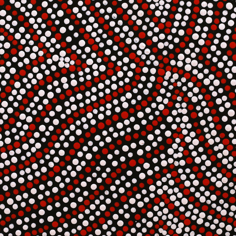 Aboriginal Artwork by Ingrid Napangardi Williams, Ngalyipi Jukurrpa (Snake Vine Dreaming) - Purturlu, 30x30cm
