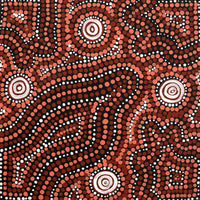 Aboriginal Art by Ingrid Napangardi Williams, Ngalyipi Jukurrpa (Snake Vine Dreaming) - Purturlu, 30x30cm - ART ARK®