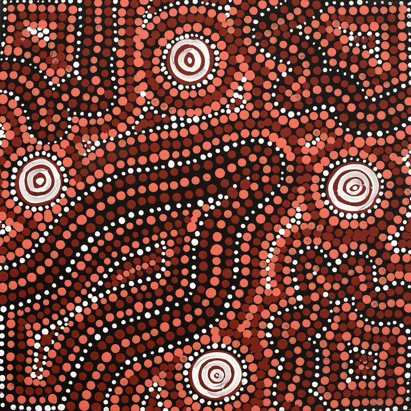 Aboriginal Artwork by Ingrid Napangardi Williams, Ngalyipi Jukurrpa (Snake Vine Dreaming) - Purturlu, 30x30cm