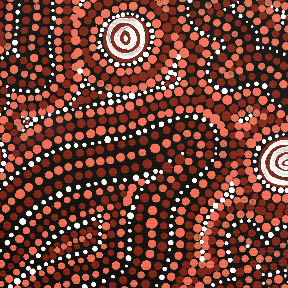 Aboriginal Art by Ingrid Napangardi Williams, Ngalyipi Jukurrpa (Snake Vine Dreaming) - Purturlu, 30x30cm - ART ARK®