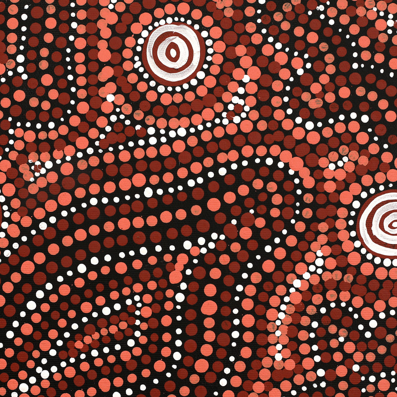 Aboriginal Artwork by Ingrid Napangardi Williams, Ngalyipi Jukurrpa (Snake Vine Dreaming) - Purturlu, 30x30cm