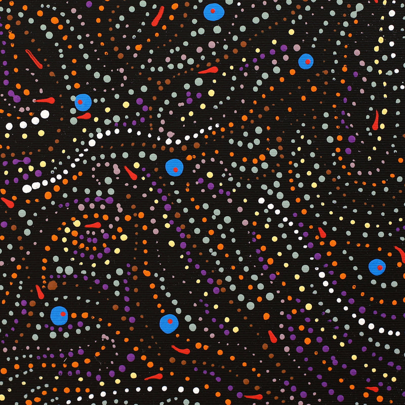 Aboriginal Artwork by Ingrid Napangardi Williams, Ngalyipi Jukurrpa (Snake Vine Dreaming) - Purturlu, 30x30cm