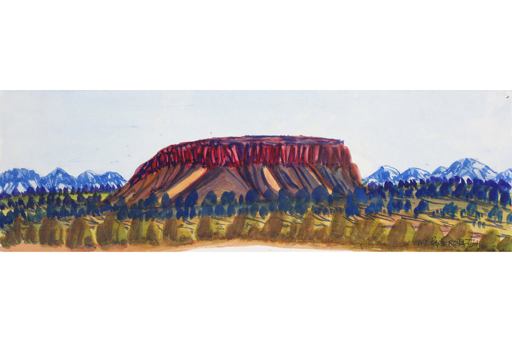 Aboriginal Artwork by Ivy Pareroultja, Mt Giles, 53.5x17cm - ART ARK®