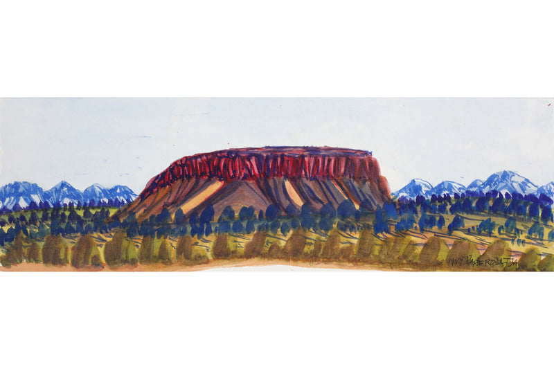 Aboriginal Artwork by Ivy Pareroultja, Mt Giles, 53.5x17cm