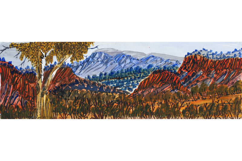 Aboriginal Artwork by Ivy Pareroultja, West of Mt. Gillen, towards Jay Creek, 53.5x17cm