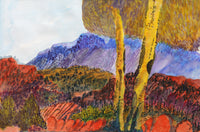 Aboriginal Artwork by Ivy Pareroultja, Between Glen Helen and Ochre Pits, 55x36.5cm