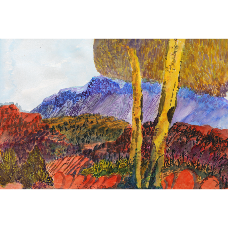 Aboriginal Artwork by Ivy Pareroultja, Between Glen Helen and Ochre Pits, 55x36.5cm