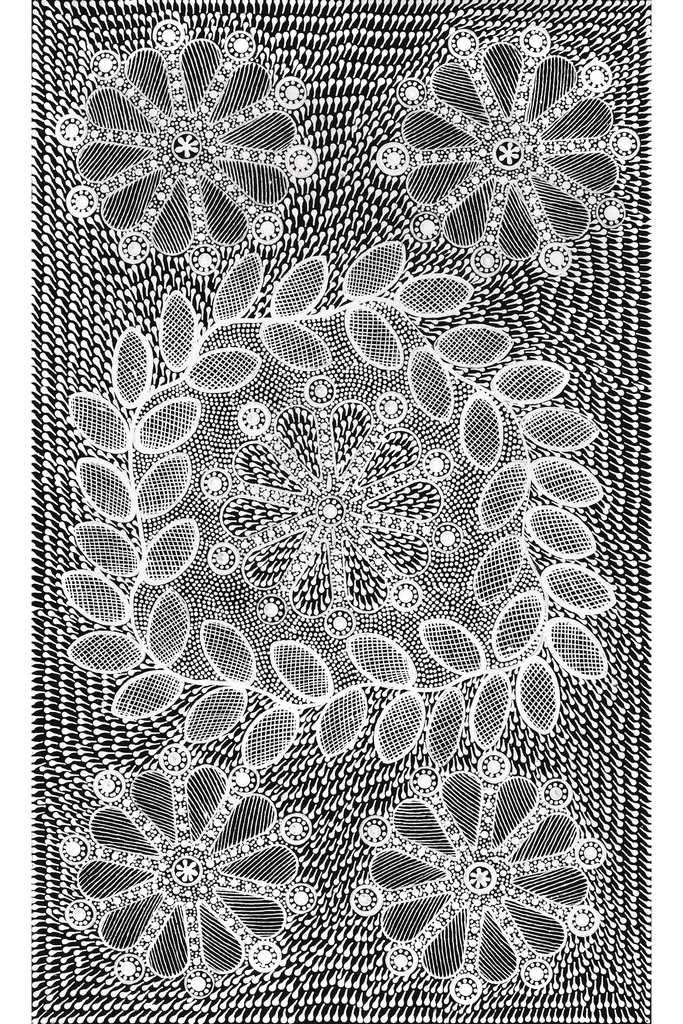 Aboriginal Artwork by Jocelyn Napanangka Frank, Lukarrara Jukurrpa (Desert Fringe-rush Seed Dreaming), 76x46cm