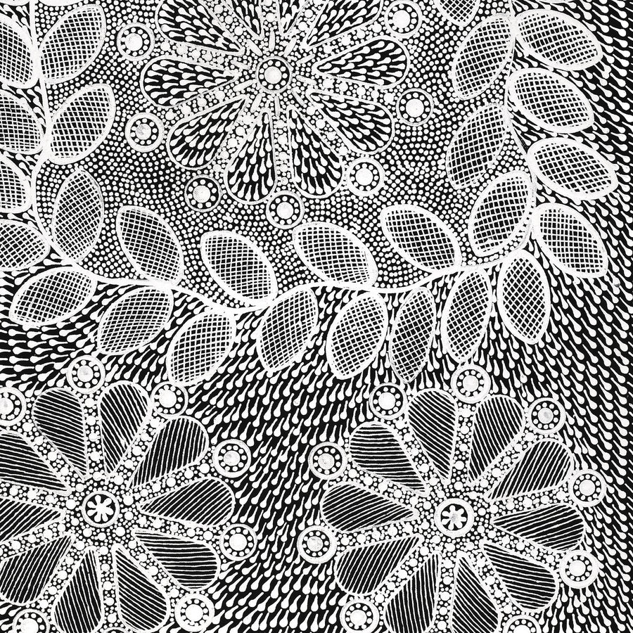 Aboriginal Artwork by Jocelyn Napanangka Frank, Lukarrara Jukurrpa (Desert Fringe-rush Seed Dreaming), 76x46cm