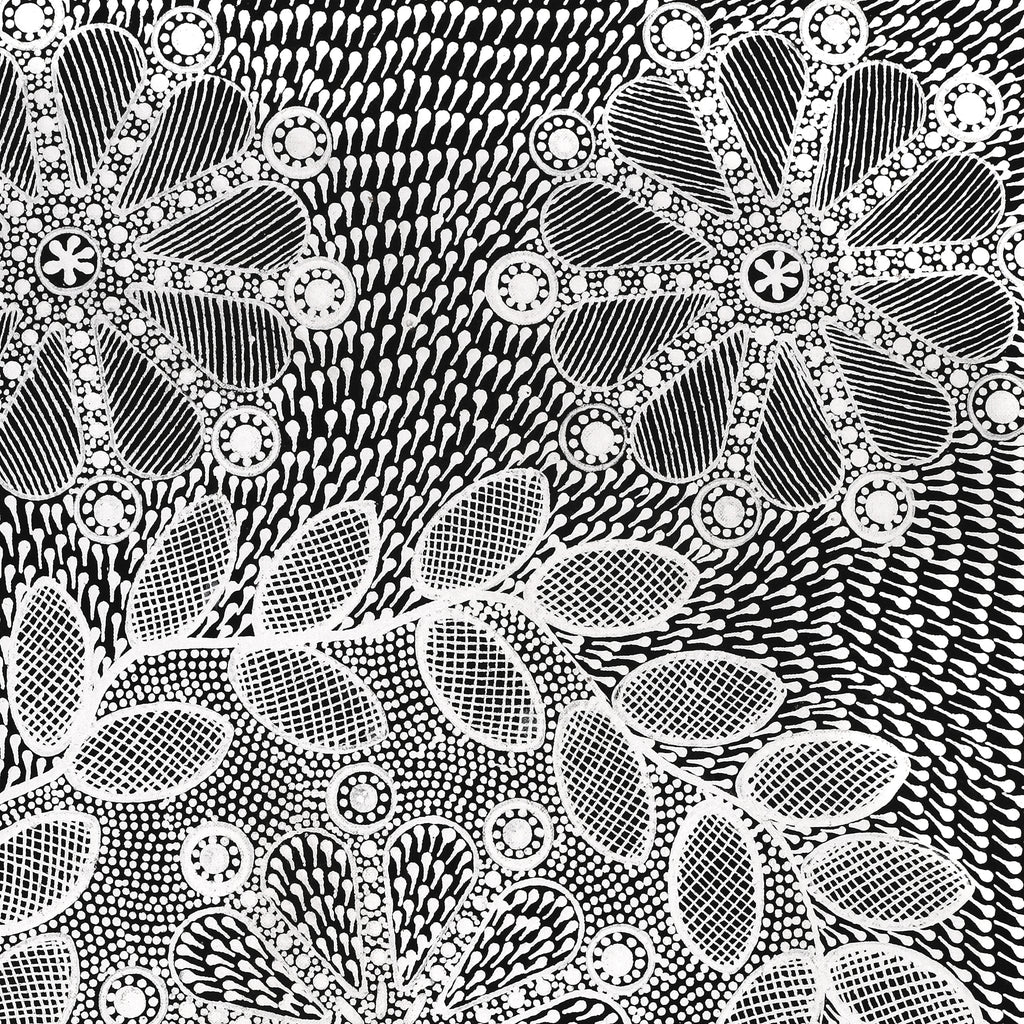 Aboriginal Art by Jocelyn Napanangka Frank, Lukarrara Jukurrpa (Desert Fringe-rush Seed Dreaming), 76x46cm - ART ARK®