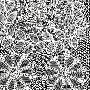 Aboriginal Art by Jocelyn Napanangka Frank, Lukarrara Jukurrpa (Desert Fringe-rush Seed Dreaming), 76x46cm - ART ARK®