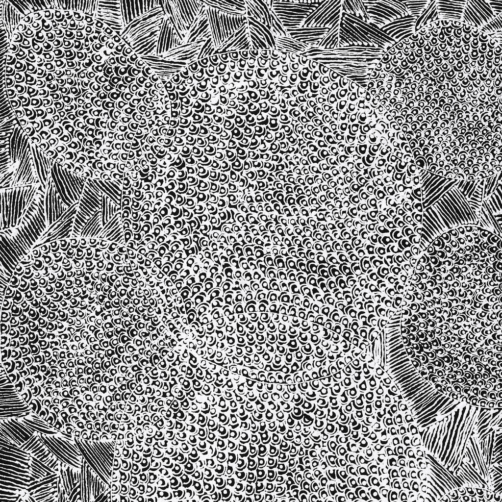 Aboriginal Artwork by Janie Napangardi Williams, Ngarlkirdi Jukurrpa (Witchetty Grub Dreaming), 91x46cm
