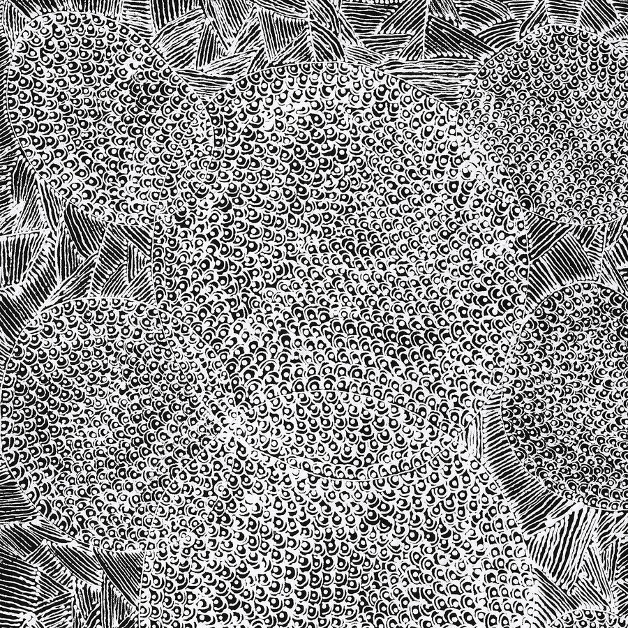Aboriginal Artwork by Janie Napangardi Williams, Ngarlkirdi Jukurrpa (Witchetty Grub Dreaming), 91x46cm