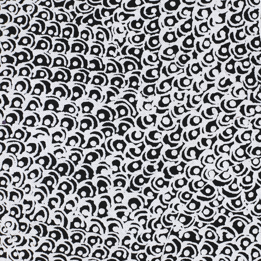 Aboriginal Artwork by Janie Napangardi Williams, Ngarlkirdi Jukurrpa (Witchetty Grub Dreaming), 91x46cm