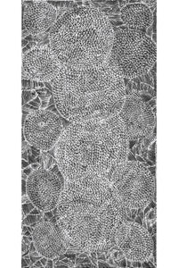 Aboriginal Artwork by Janie Napangardi Williams, Ngarlkirdi Jukurrpa (Witchetty Grub Dreaming), 91x46cm
