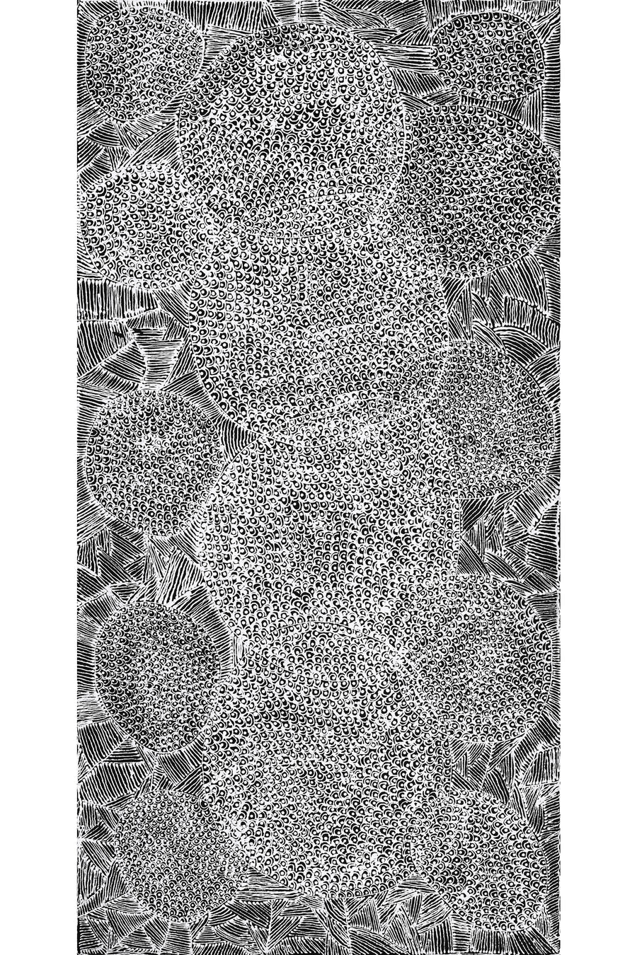 Aboriginal Artwork by Janie Napangardi Williams, Ngarlkirdi Jukurrpa (Witchetty Grub Dreaming), 91x46cm