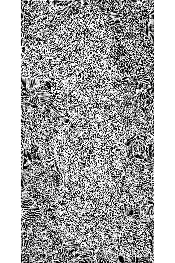 Aboriginal Artwork by Janie Napangardi Williams, Ngarlkirdi Jukurrpa (Witchetty Grub Dreaming), 91x46cm